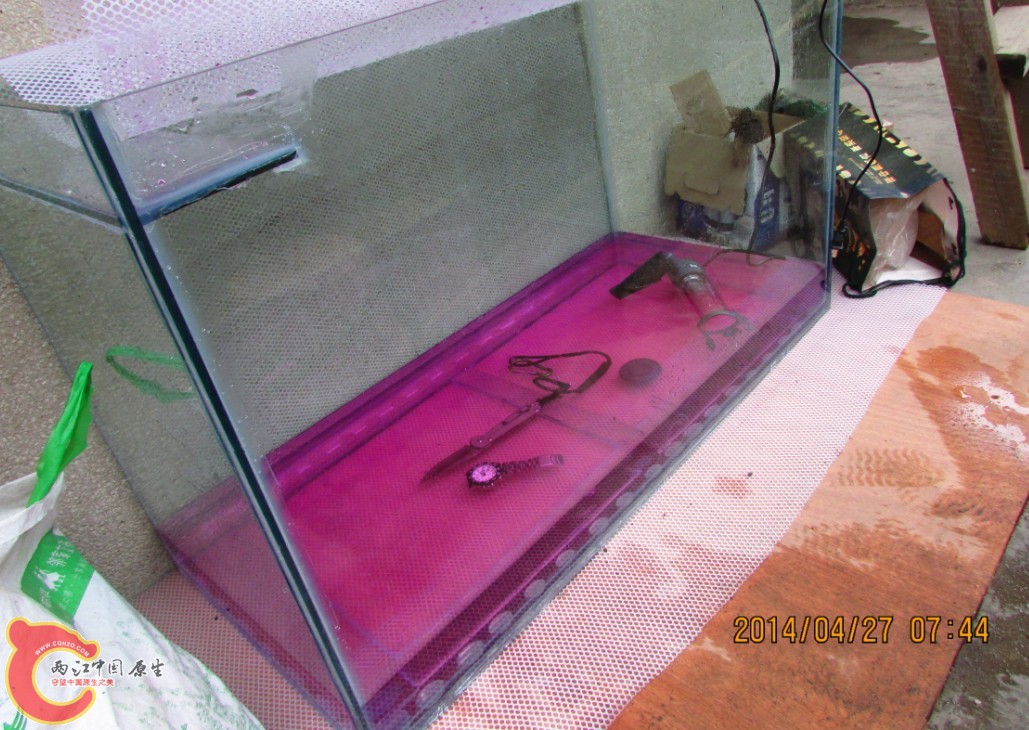 02.jpg