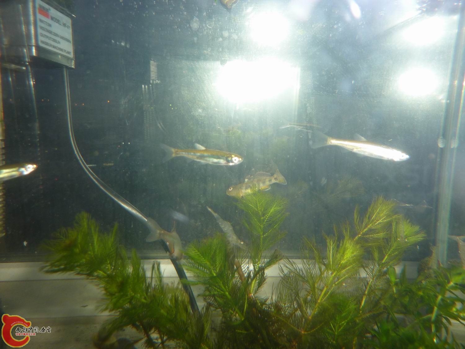 P1050439-.jpg