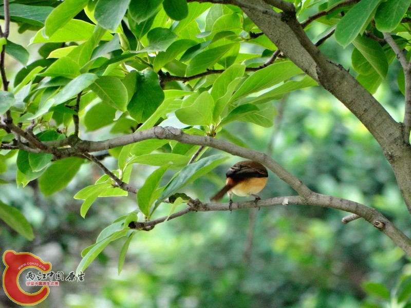 DSC00225.jpg