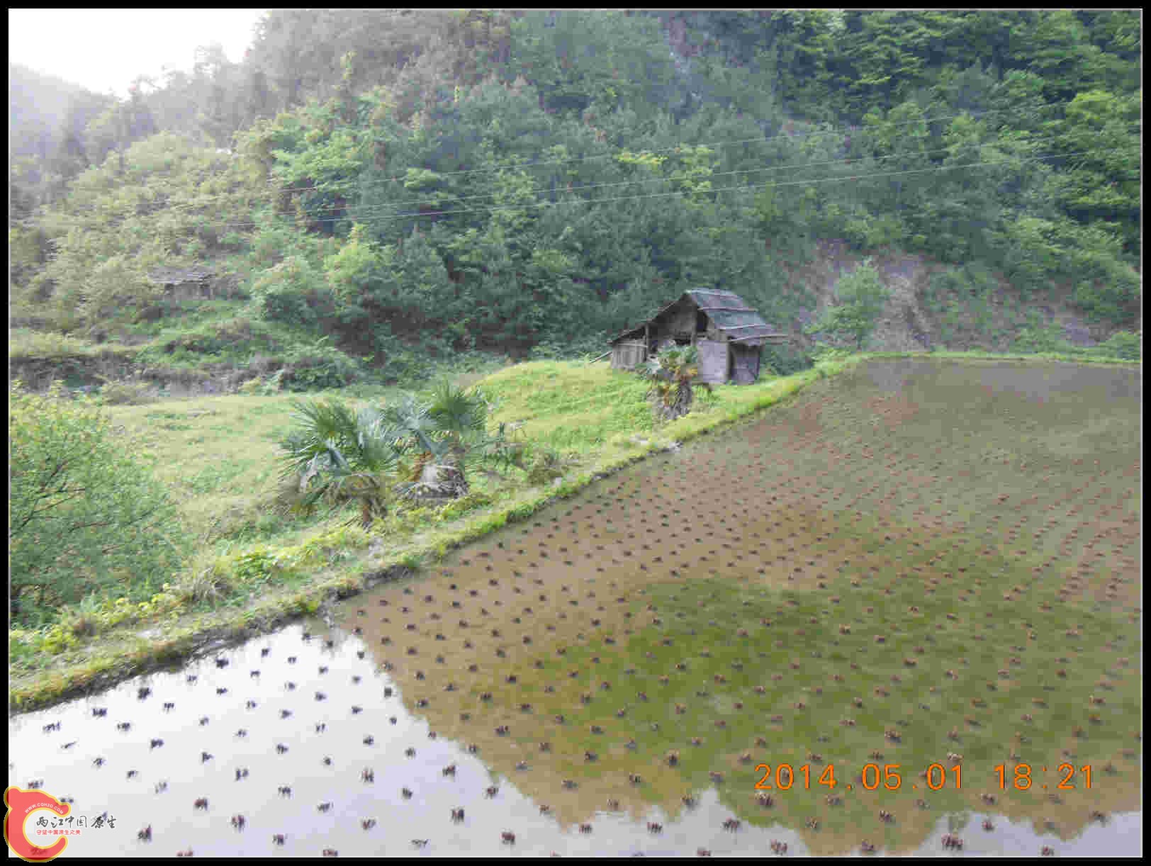 DSCN3162_meitu_74.jpg