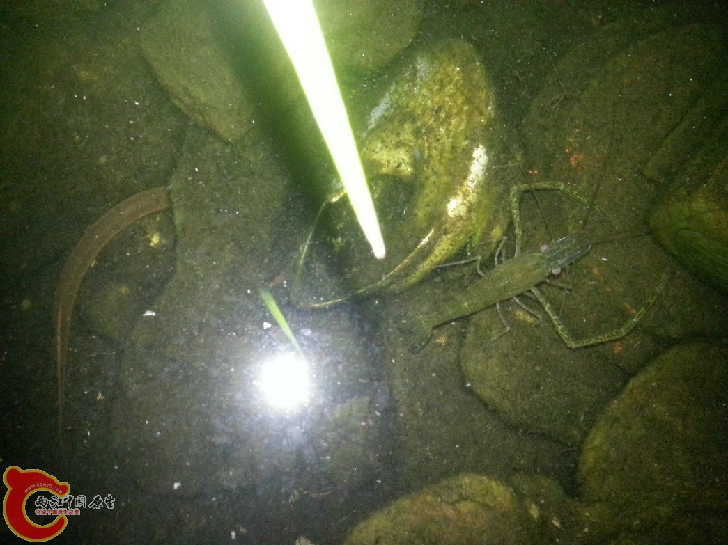 22.20140318.jpg