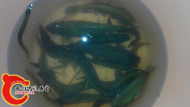 IMG_20140507_165016.jpg