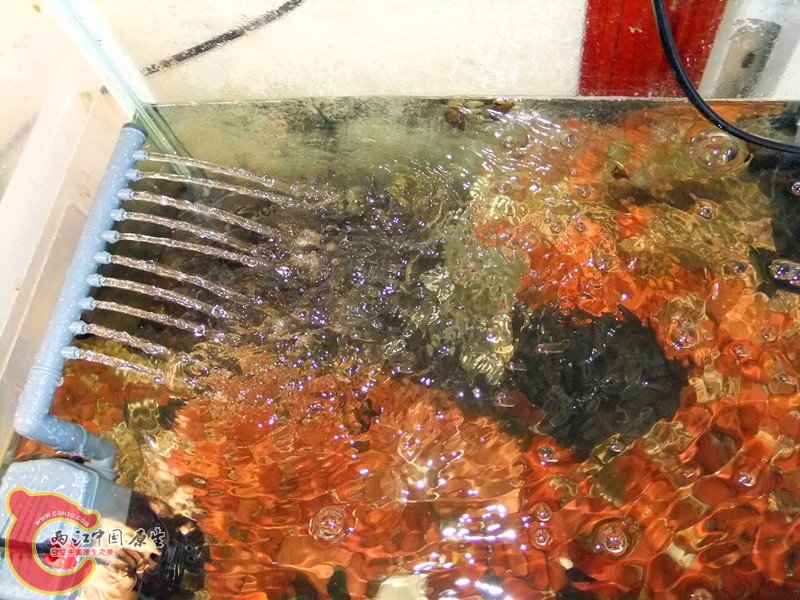DSCF8576.JPG
