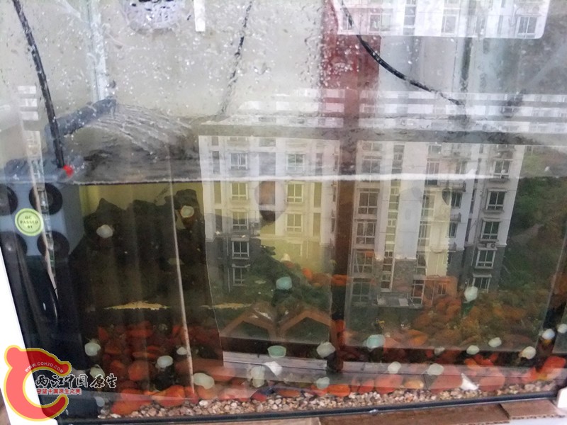 DSCF8584.JPG