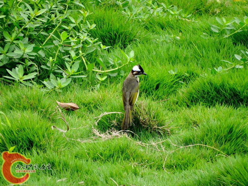 DSC00286.jpg