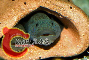 09.jpg