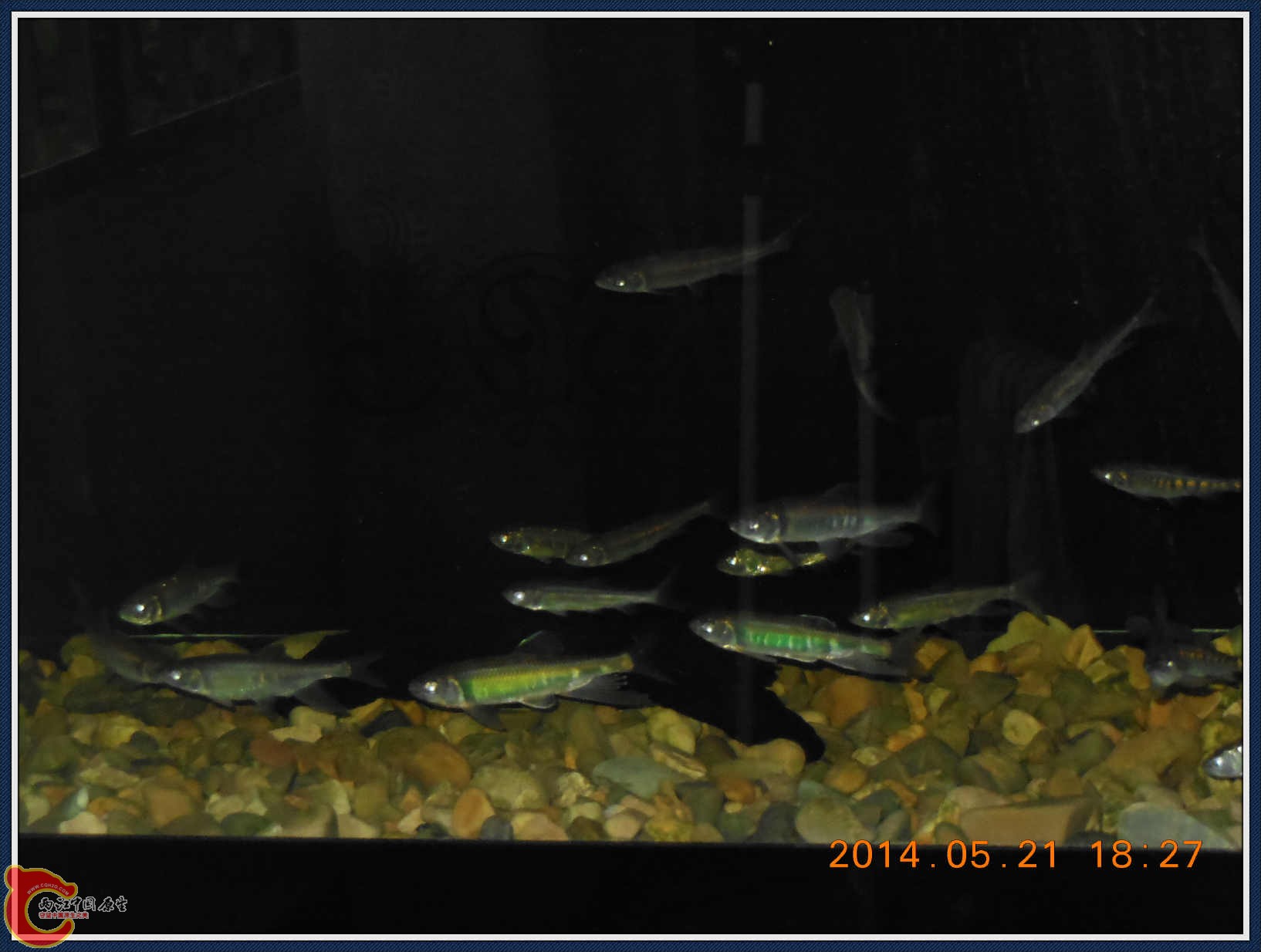 没有开灯的状况