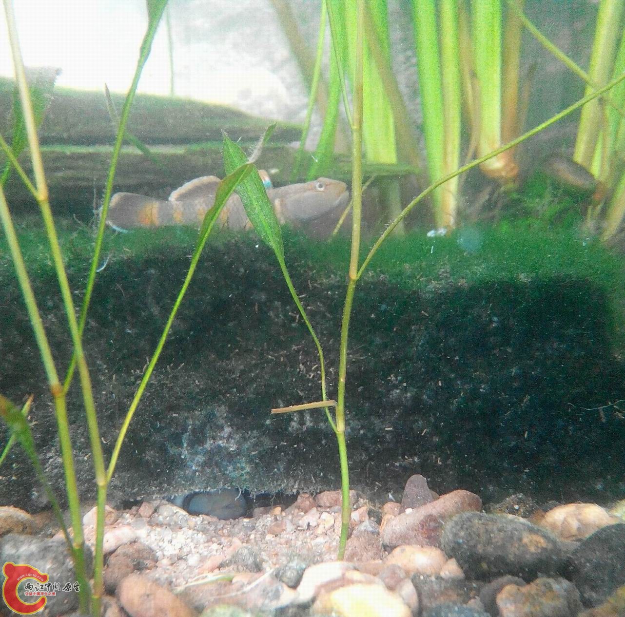 2014424075328-1-1.jpg