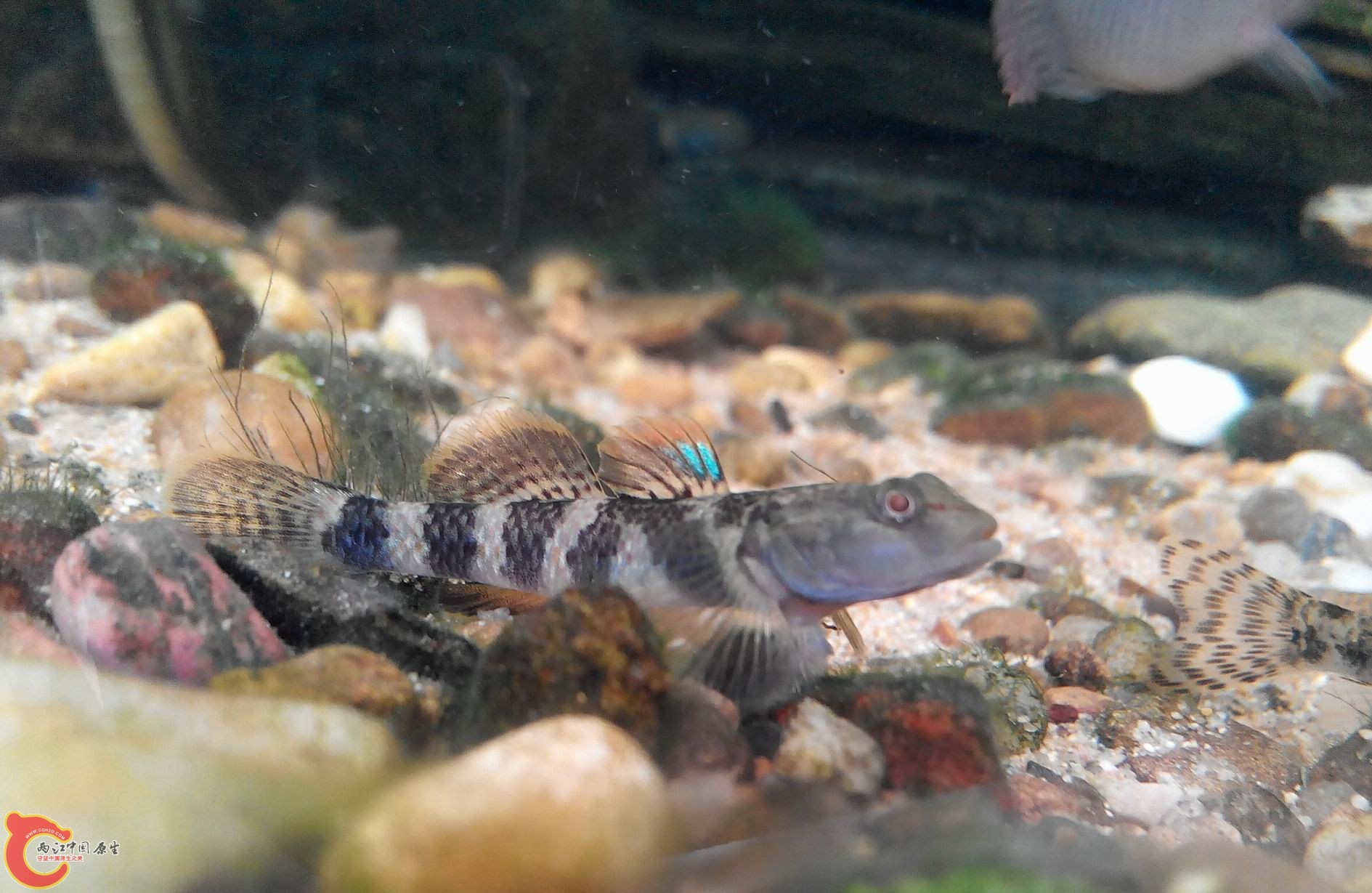 20140511103102-1.jpg