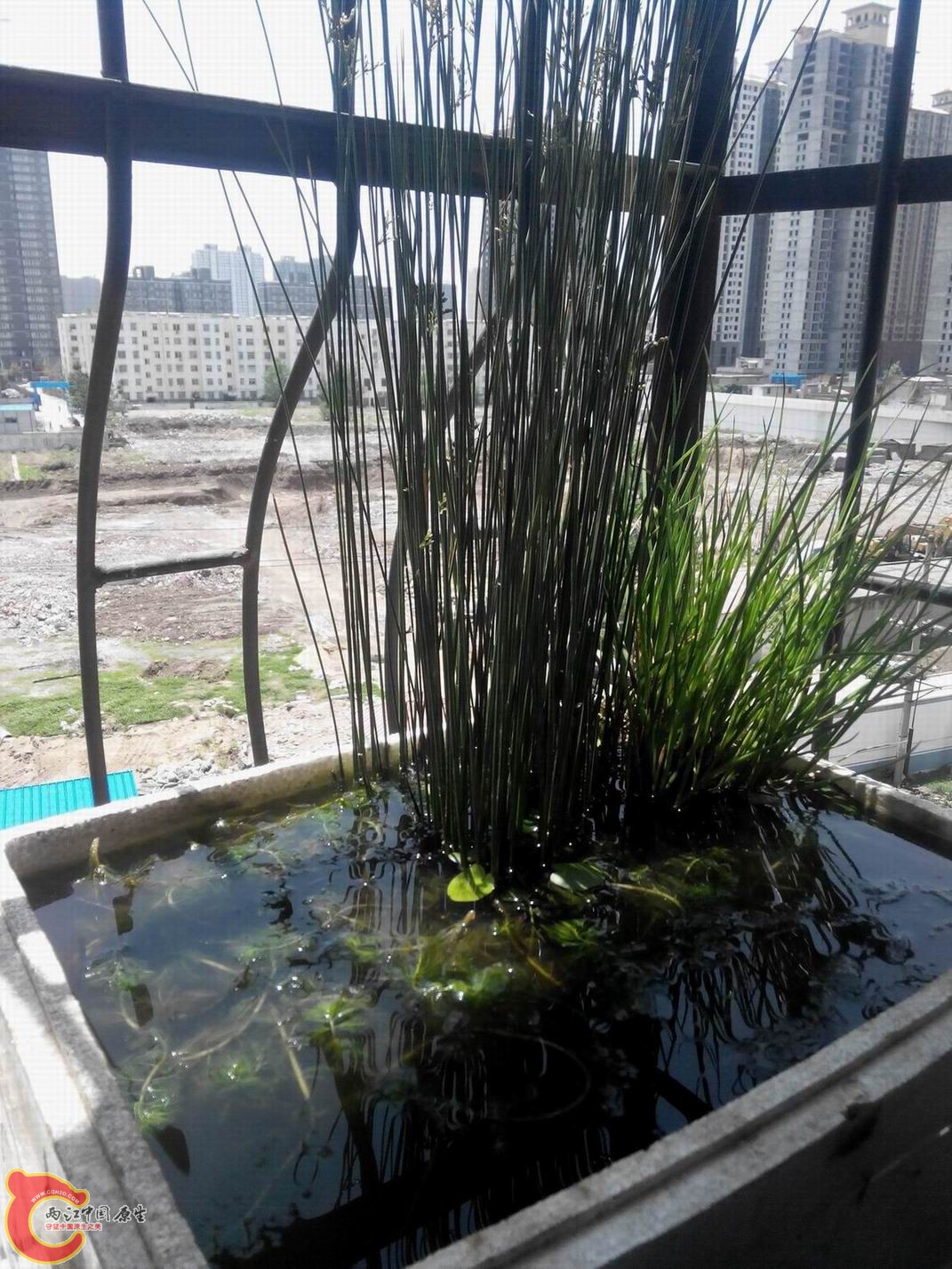 20140511121921.jpg