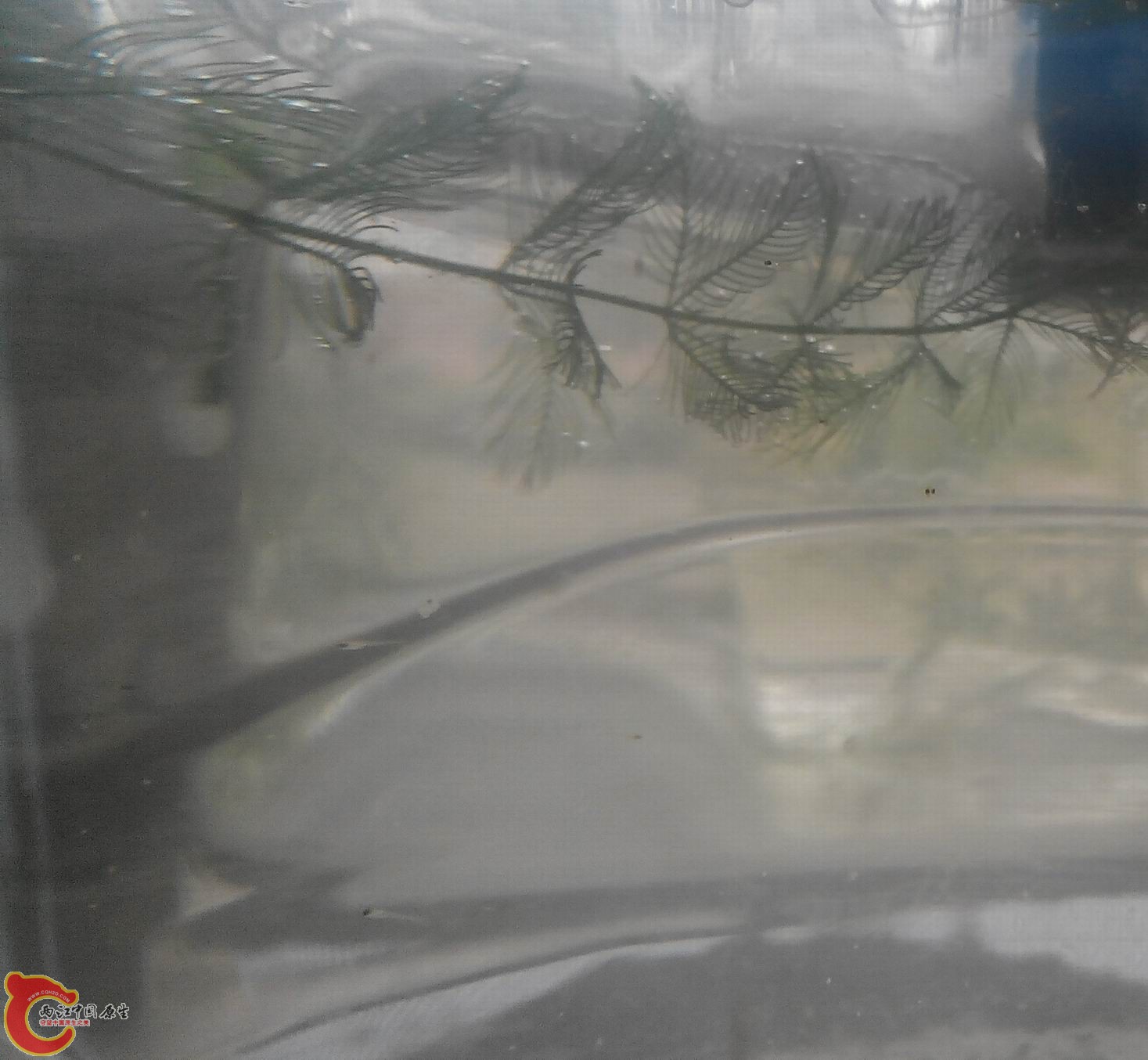 20140518180139-1.jpg