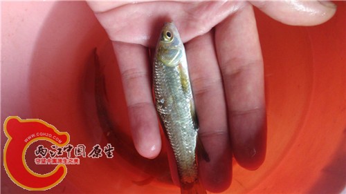 照片 009.jpg