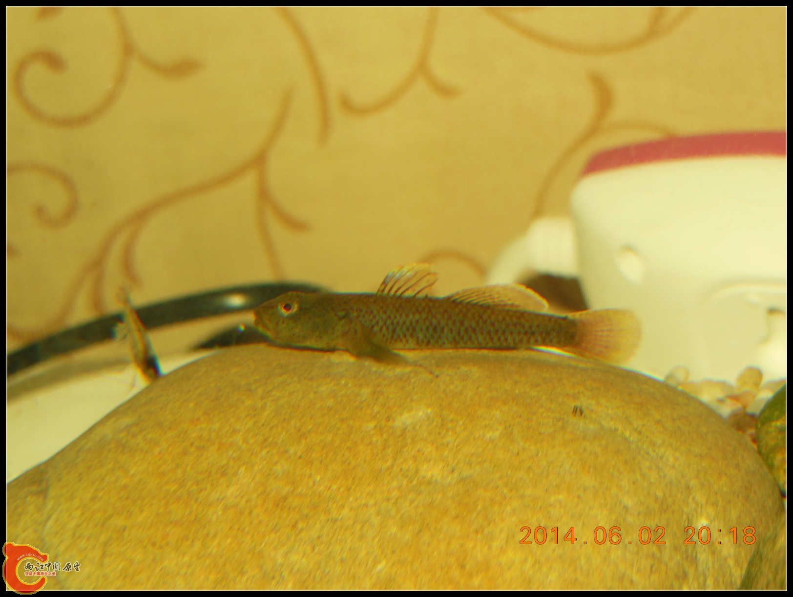 DSCN3877_meitu_1.jpg