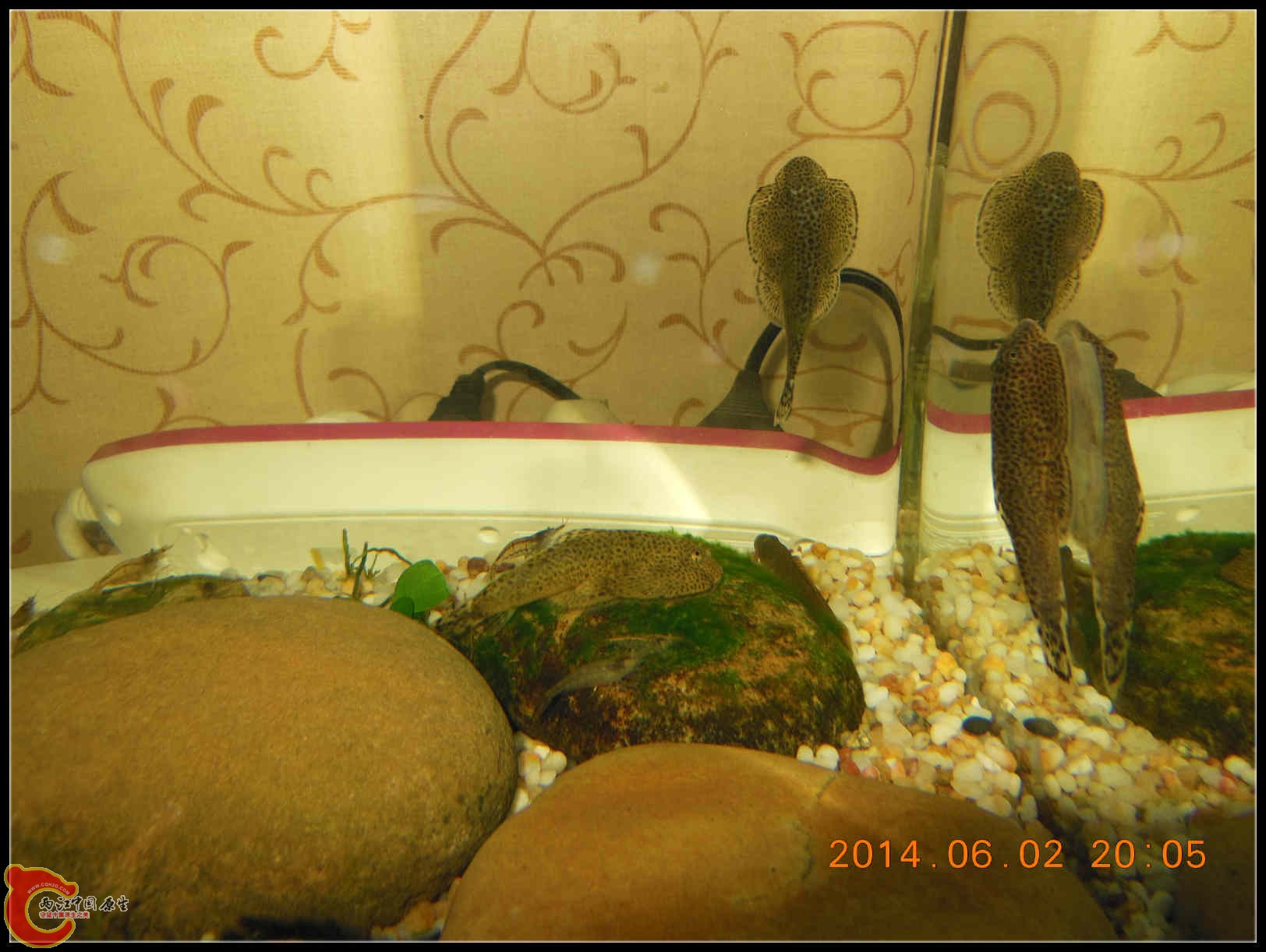 DSCN3871_meitu_10.jpg