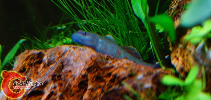 DSC06847.JPG