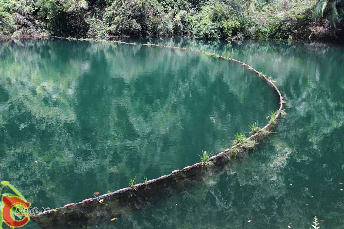 DPP_0019.jpg