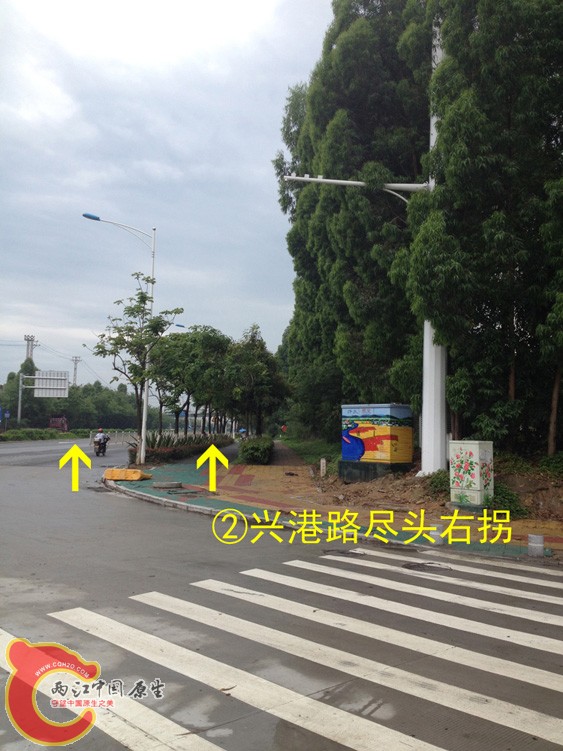 2兴港路右拐副本.jpg