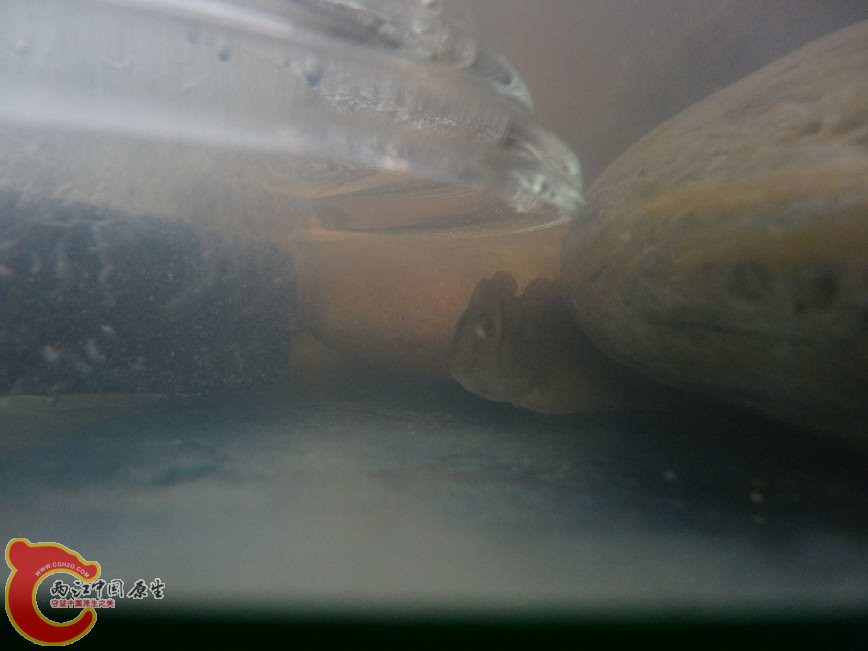 DSC00854.JPG