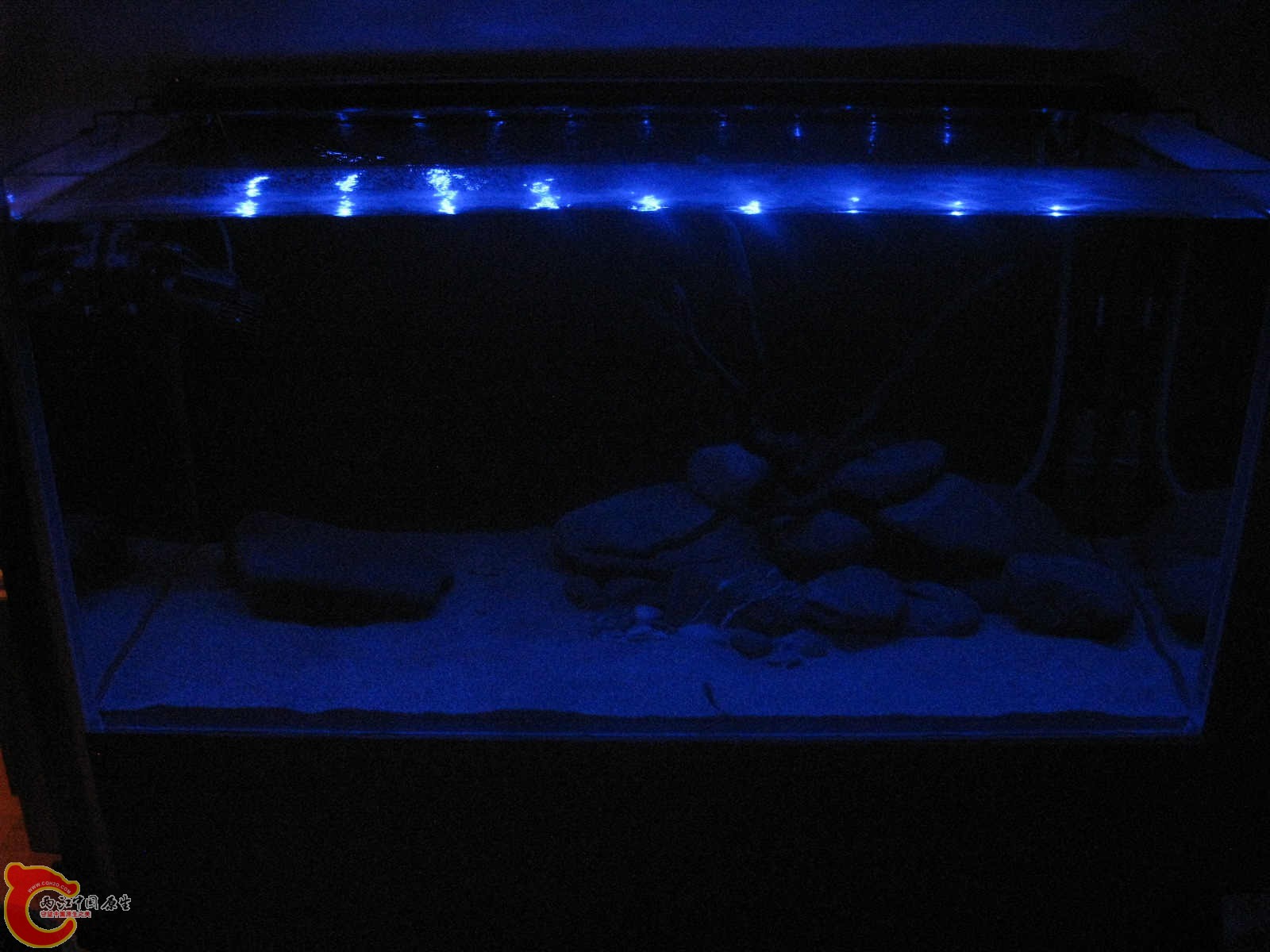 夜灯