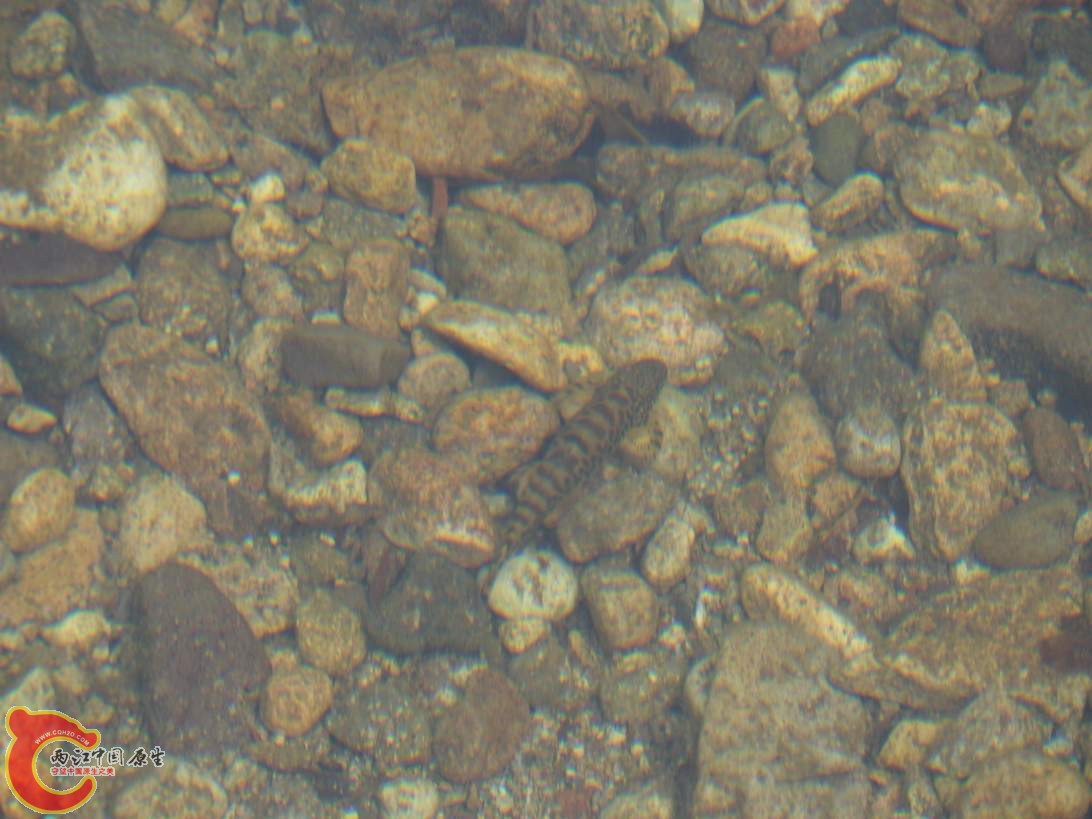 SAM_0990.JPG