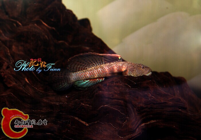 QQ图片20140613132630.jpg