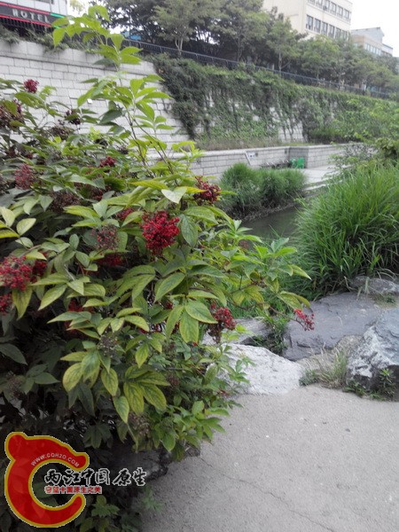 20140613062532.jpg