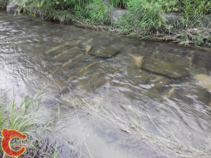 20140613063856.jpg