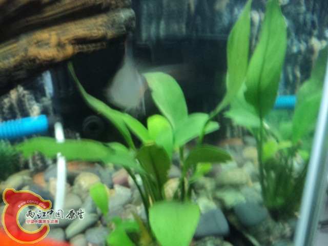 DSC02124.JPG