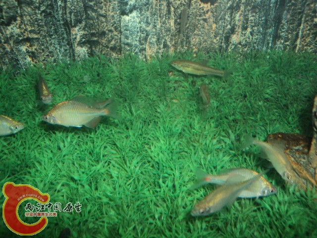 DSC02128.JPG
