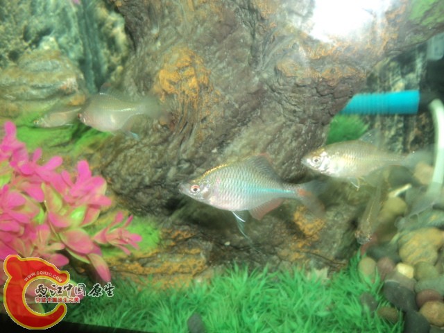 DSC02144.JPG