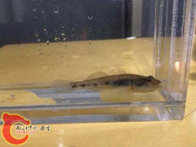 QQ图片20140618091932.jpg