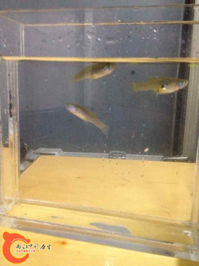 QQ图片20140618091952.jpg