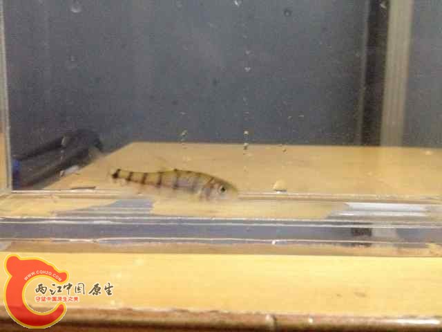 QQ图片20140618092000.jpg
