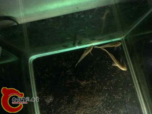 QQ图片20140618092726.jpg