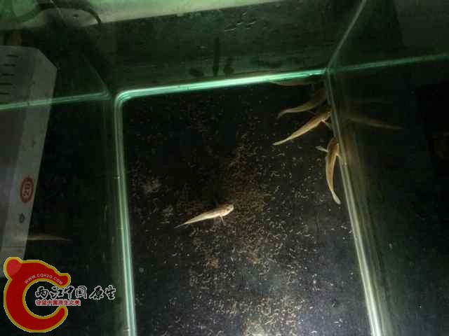 QQ图片20140618092730.jpg
