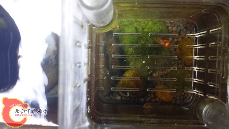 20140619_182720_副本.jpg