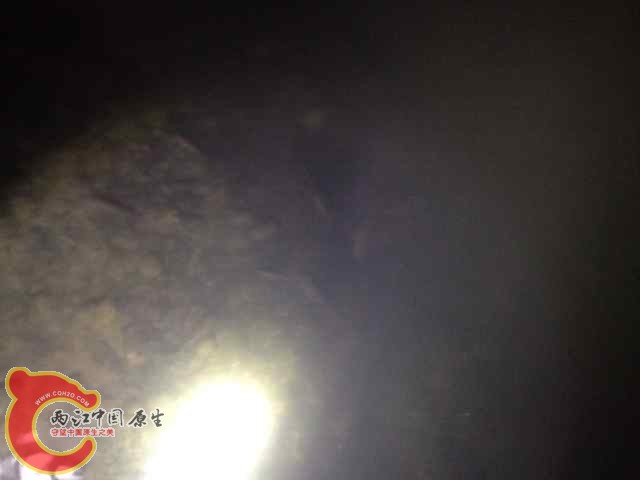 QQ图片20140620091853.jpg