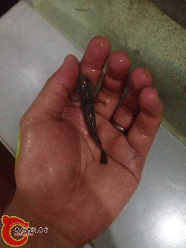 QQ图片20140620091901.jpg