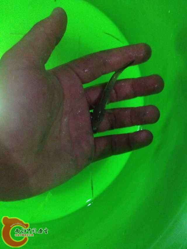 QQ图片20140620091905.jpg