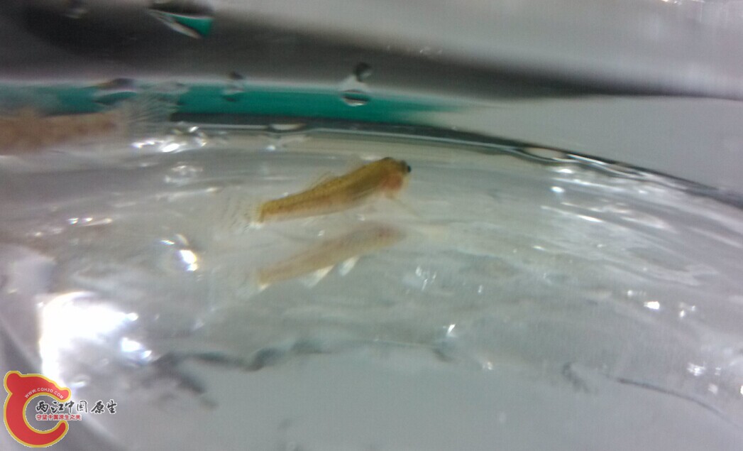 QQ图片20140622001658.jpg