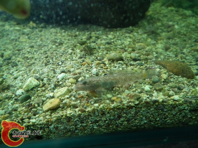 DSCF1680_副本.jpg