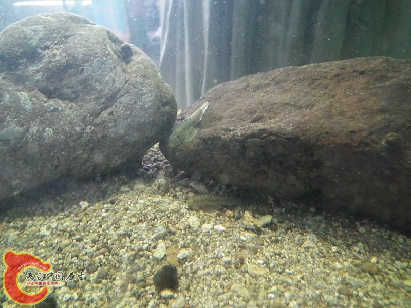 DSCF1683_副本.jpg