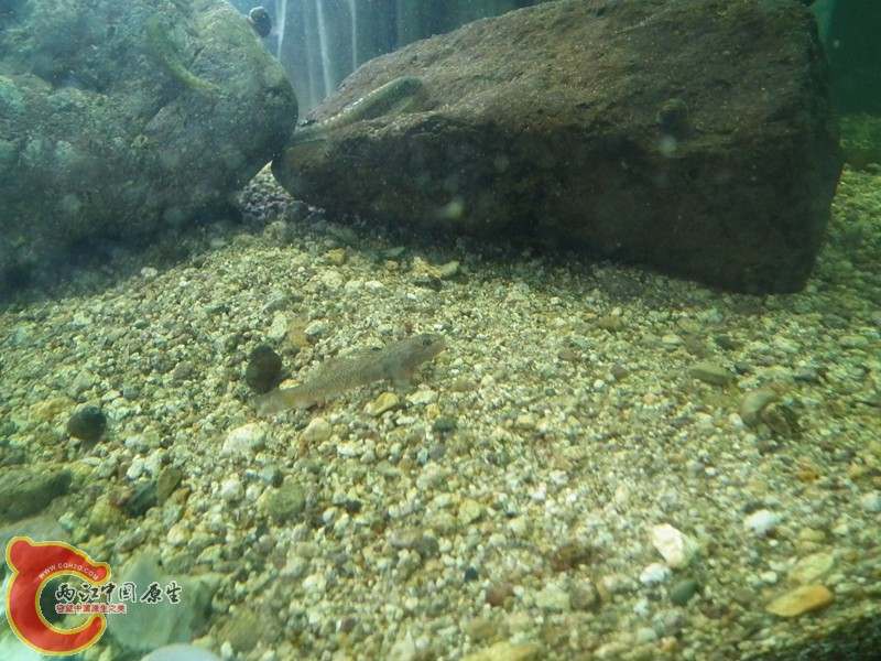DSCF1686_副本.jpg