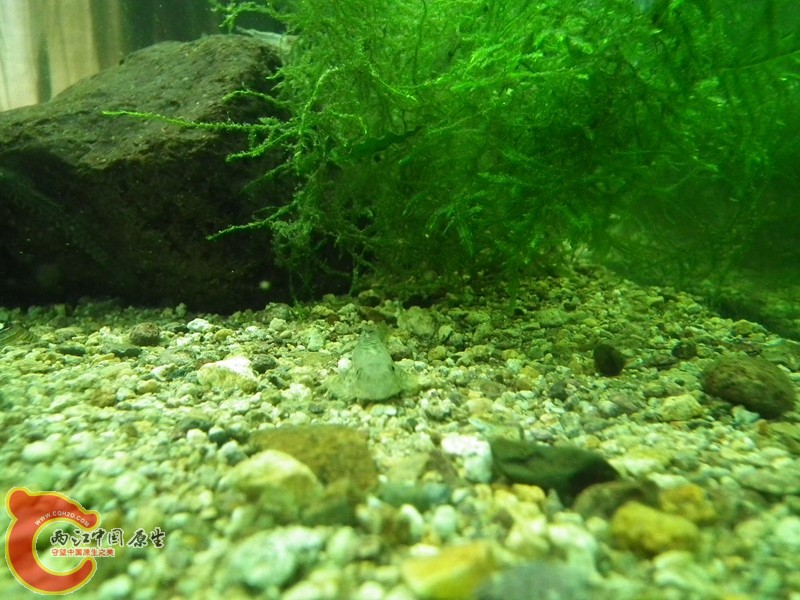 DSCF1693_副本.jpg