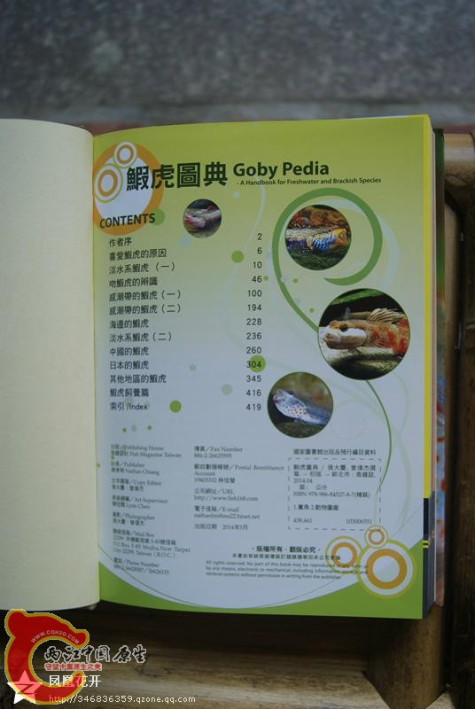 07.jpg