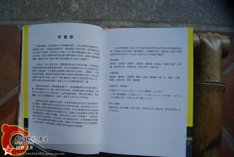 09.jpg