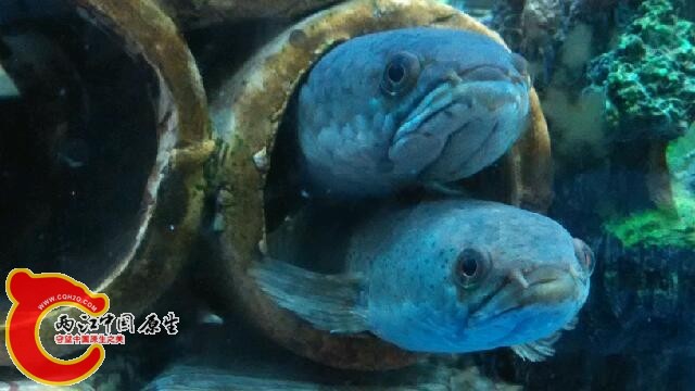 IMG_20140630_232932.jpg