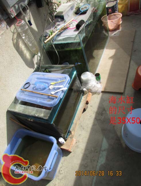 鱼缸环境图.jpg
