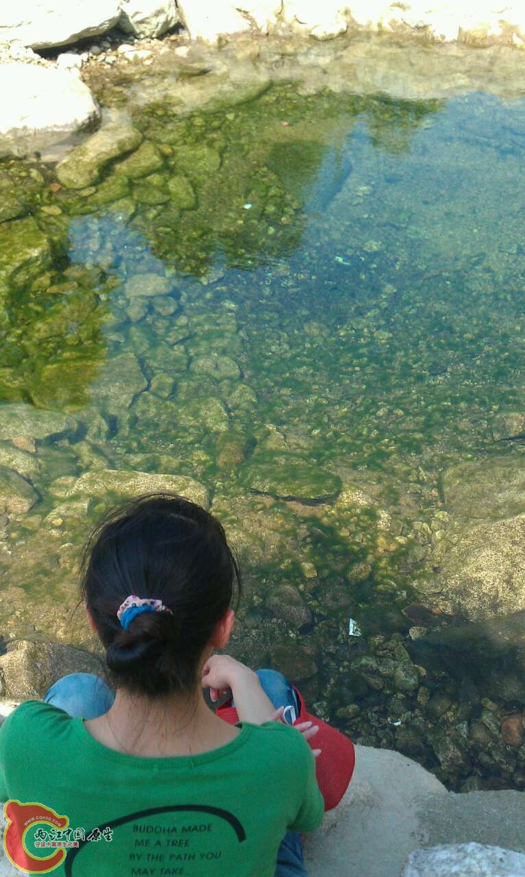 11376_1906500.jpg