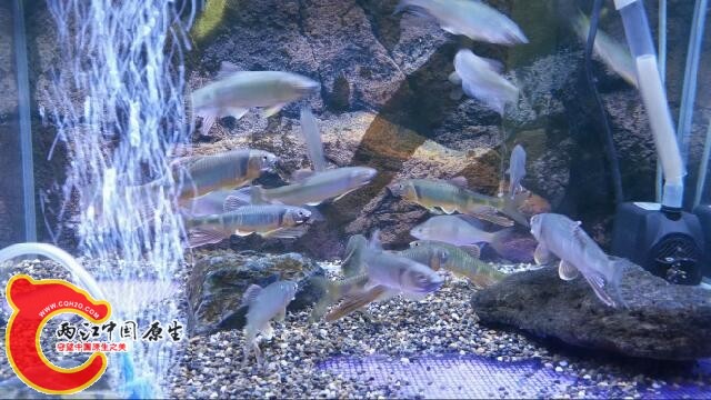 20140720_112902.jpg